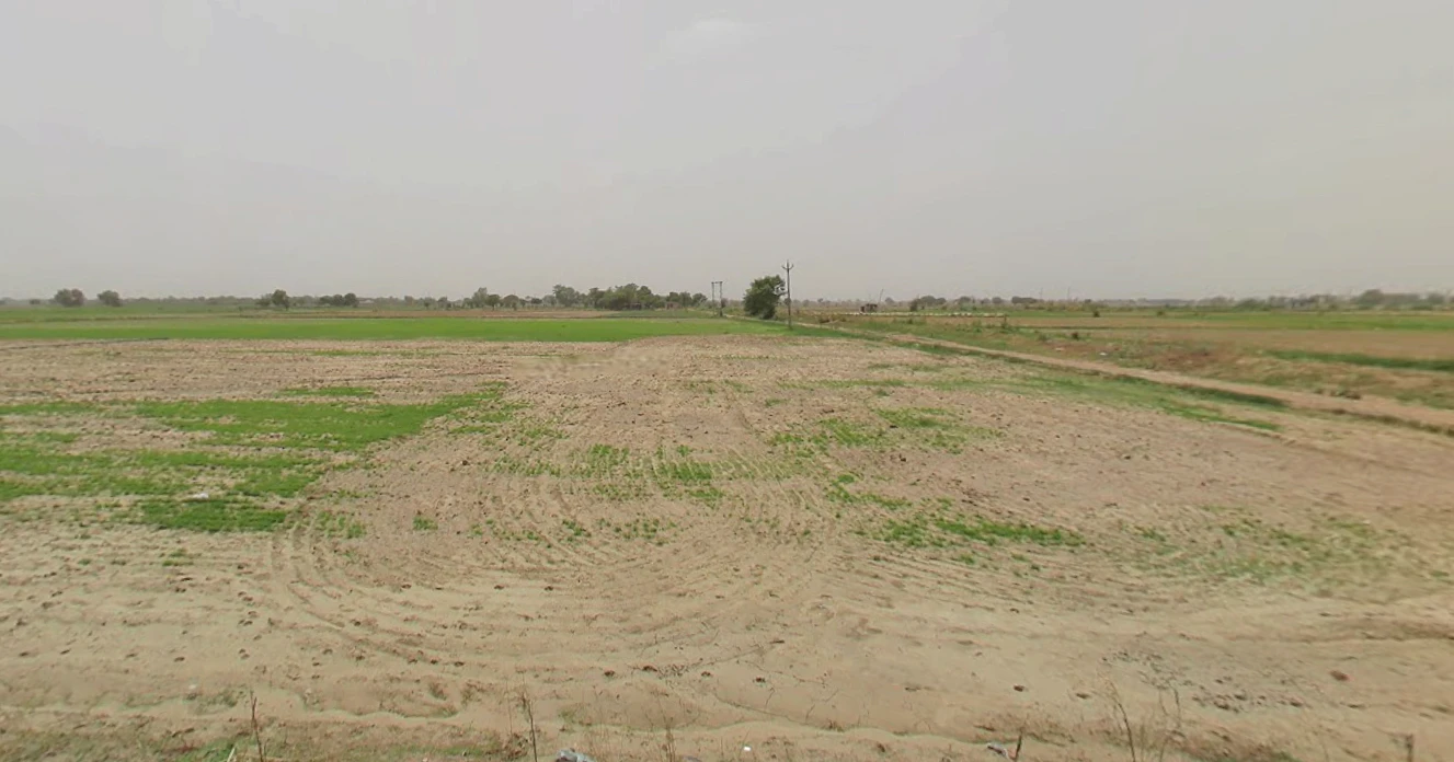 Kaimri, Haryana 125005, India