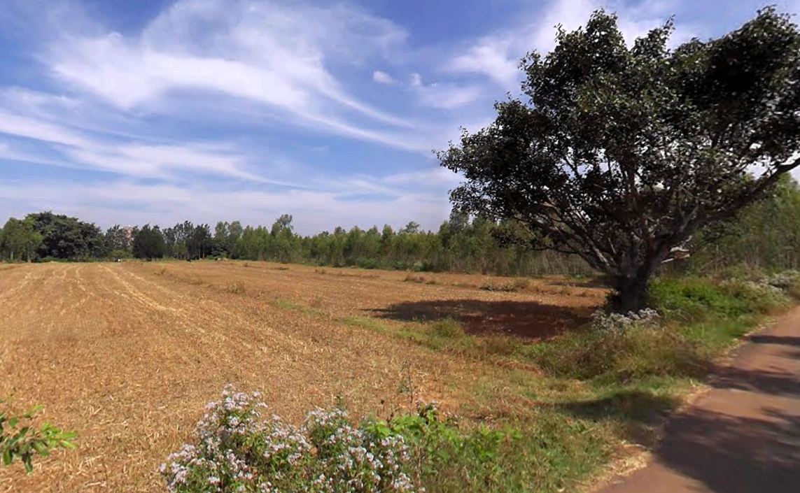 Nelamangala Town, Karnataka 562123, India