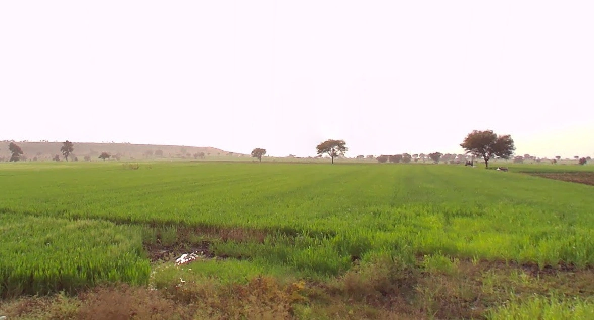Kuwariya, Madhya Pradesh, India