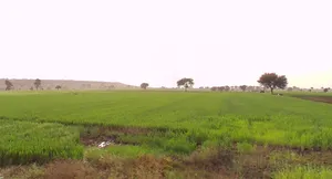 Kuwariya, Madhya Pradesh, India preview 3