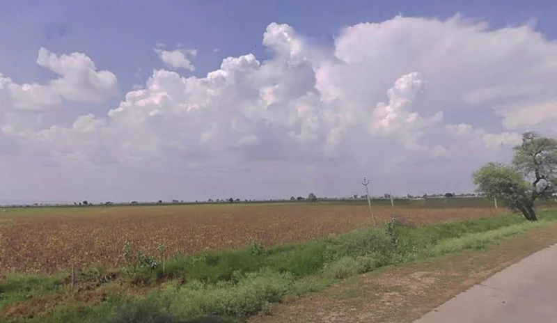 F8M8+GW, Kishanwas, Rajasthan 325004, India preview 2