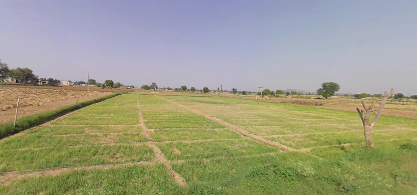 Danta Ramgarh, Rajasthan 332703, India