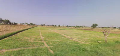 Danta Ramgarh, Rajasthan 332703, India preview 3