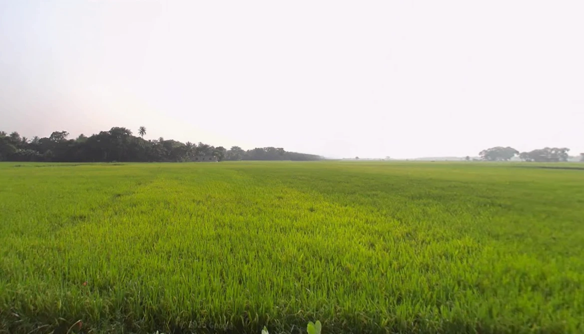 Golpark, Hindustan Park, Gariahat, Kolkata, West Bengal, India