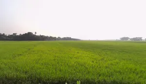 Golpark, Hindustan Park, Gariahat, Kolkata, West Bengal, India preview 2