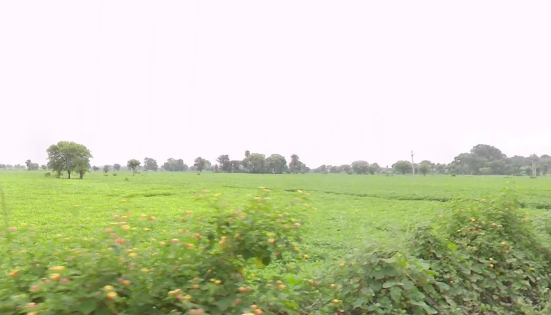 Karkeli, Madhya Pradesh 484661, India preview 3