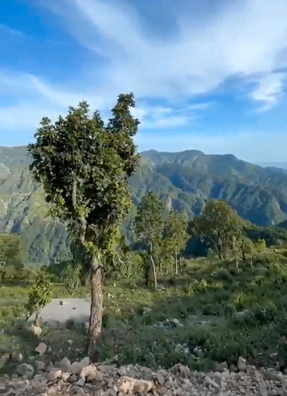 Jalna, Uttarakhand 263625, India