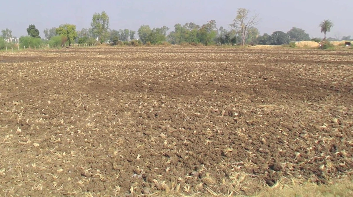 7G84+C39, Bhopal, Madhya Pradesh, India