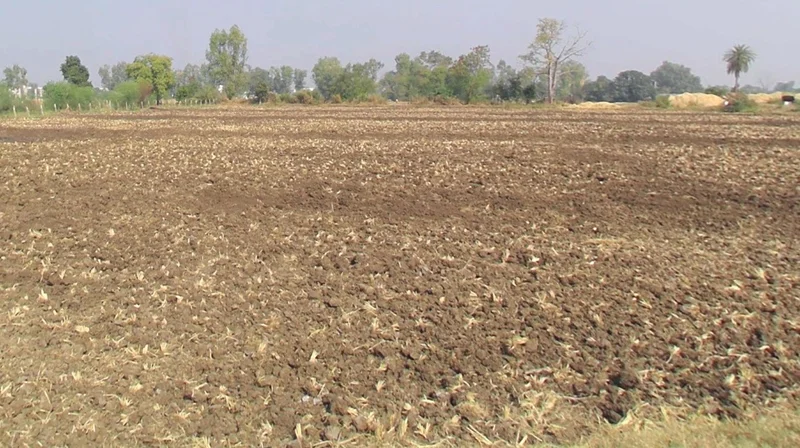 7G84+C39, Bhopal, Madhya Pradesh, India preview 3