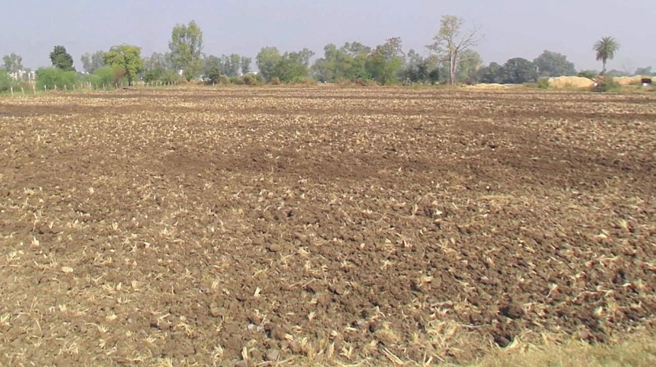 7G84+C39, Bhopal, Madhya Pradesh, India