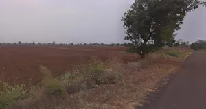 Zadgaon, Maharashtra 445402, India preview 3