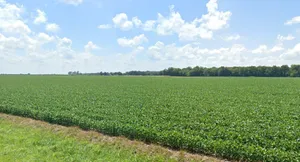 Salokh, Maharashtra 410101, India preview 3