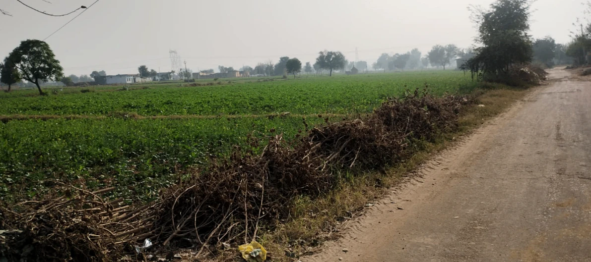 Garhshankar, Punjab 144527, India