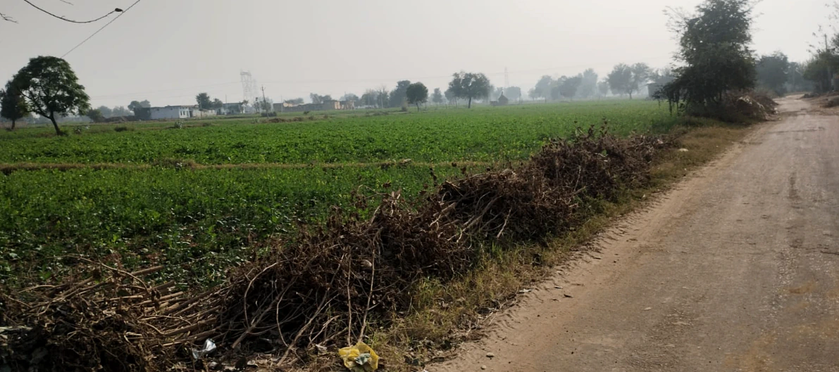 Garhshankar, Punjab 144527, India