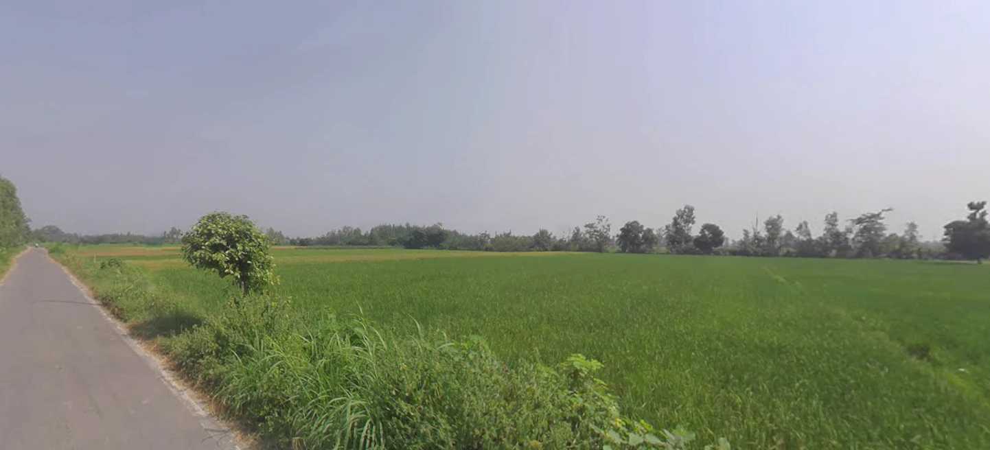 Rampur, Uttar Pradesh, India