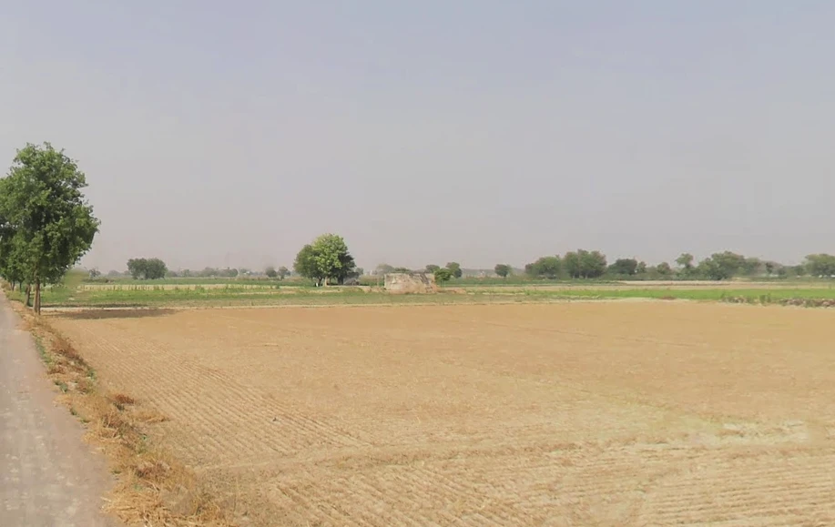 Sikandrabad, Uttar Pradesh 203205, India