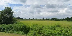 Brijis Nagar, Madhya Pradesh 466115, India preview 2