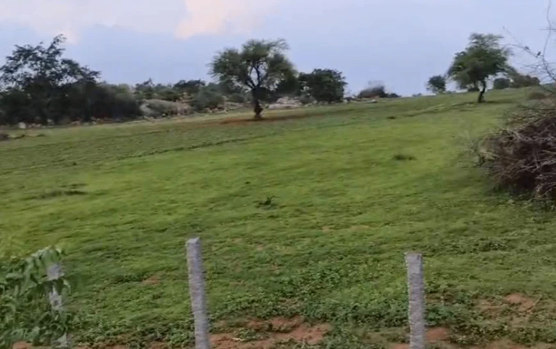 2HJV+JX Shikarkhana, Sangareddy, Telangana, India