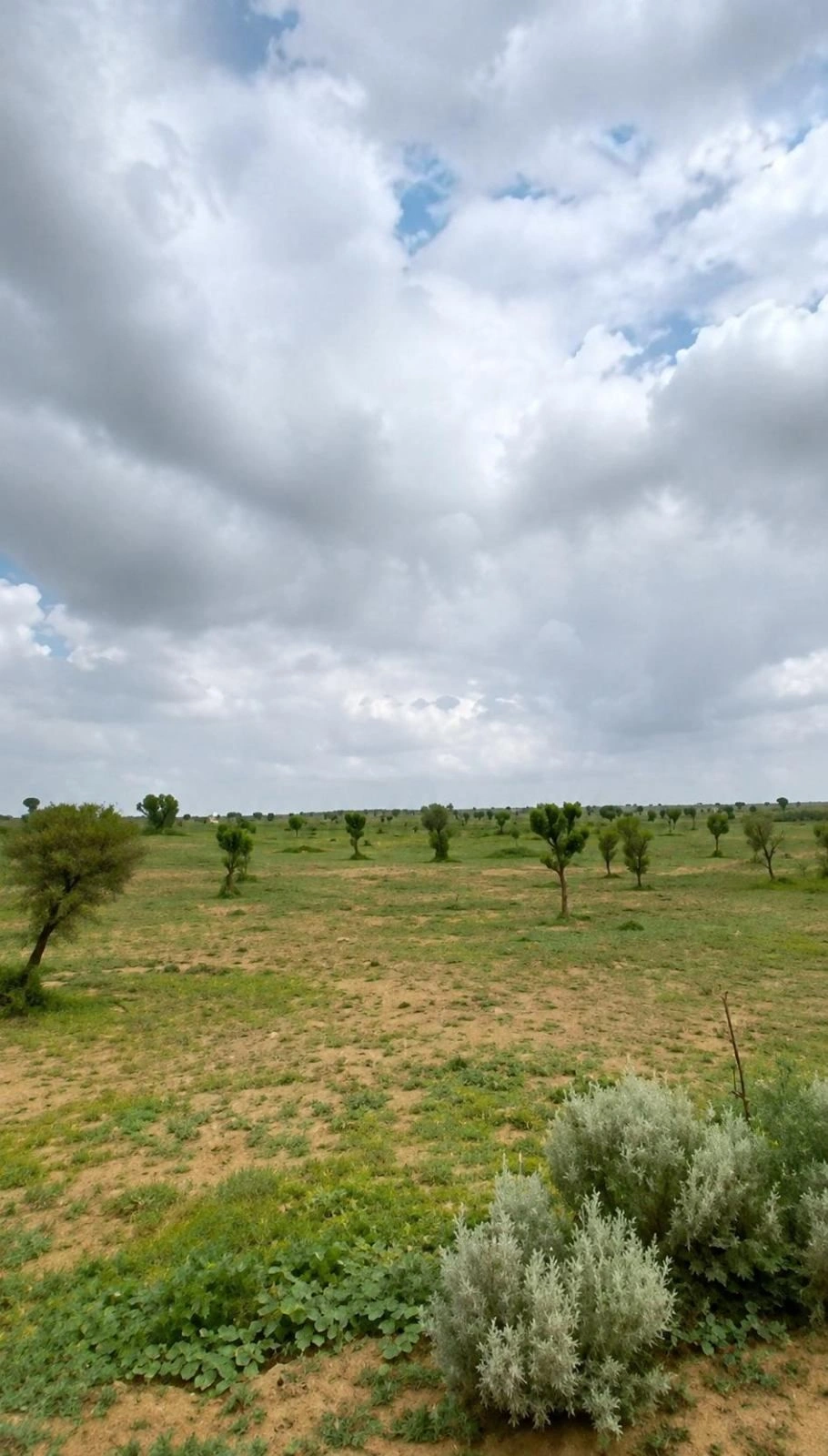 Rajasar Bhatiyan, Bikaner, Rajasthan 334001, India