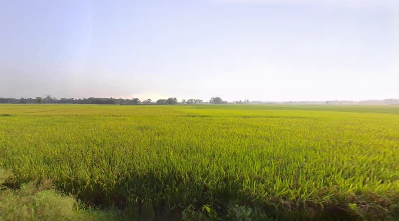 Falakata, West Bengal 735211, India preview 2