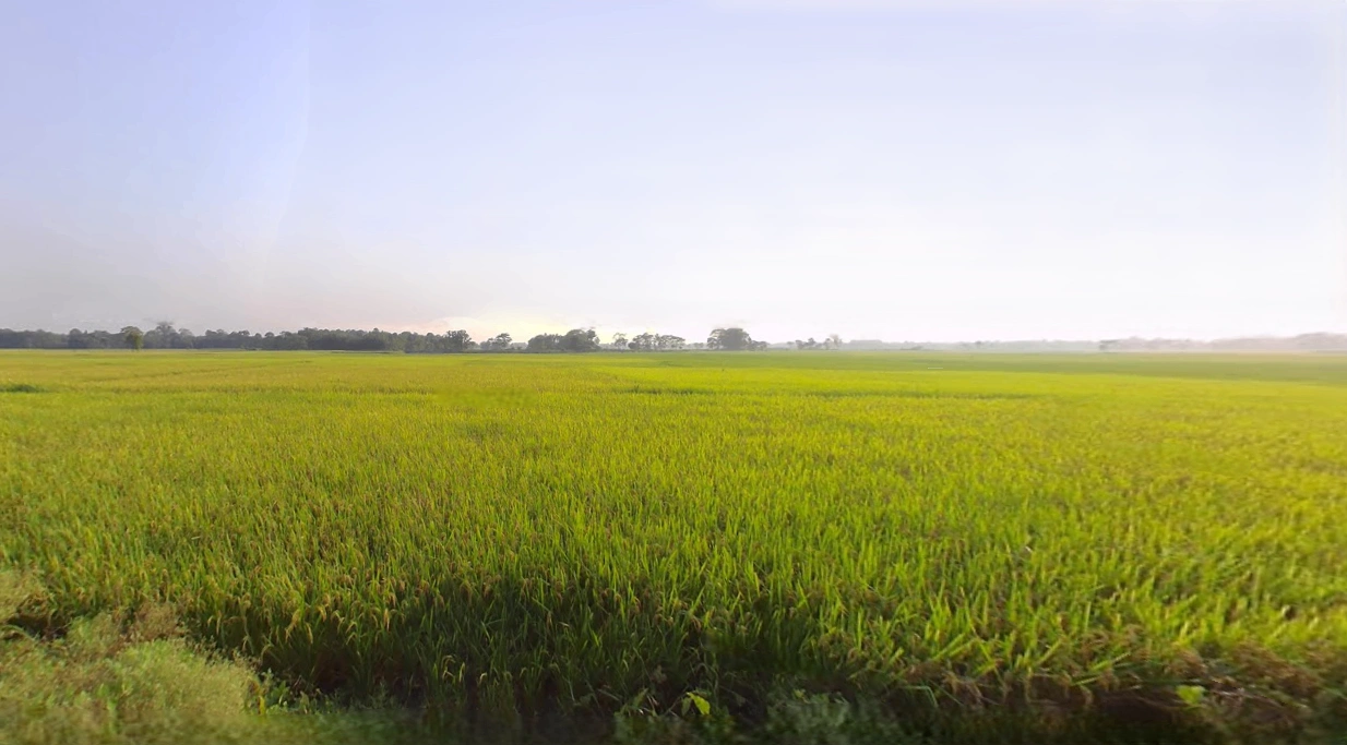 Falakata, West Bengal 735211, India