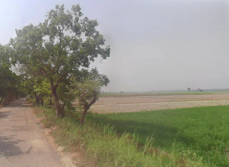Garh Mukteshwar, Uttar Pradesh 245205, India