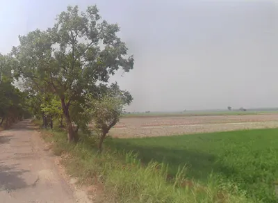 Garh Mukteshwar, Uttar Pradesh 245205, India preview 3