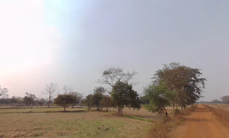 Sudhela, Chhattisgarh 493332, India preview 2