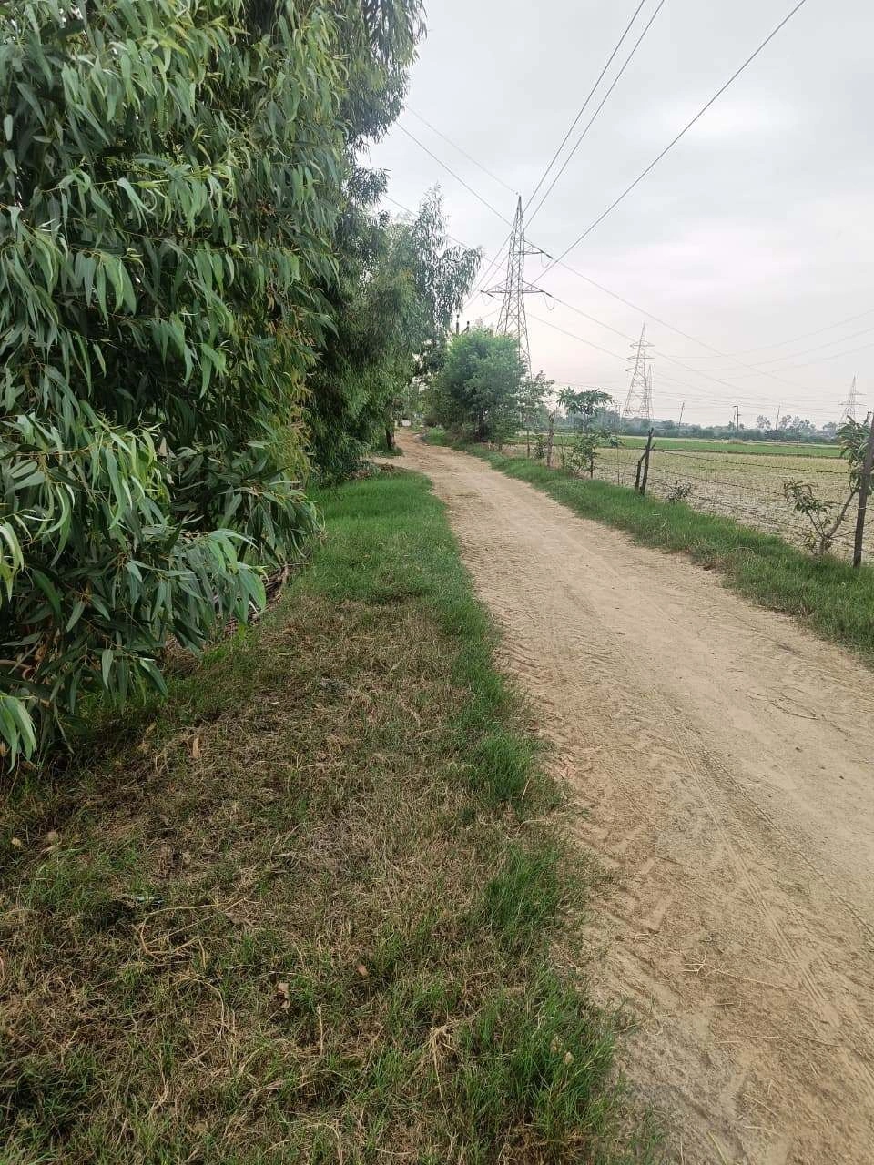 Baraka, Palwal, Uttar Pradesh, India