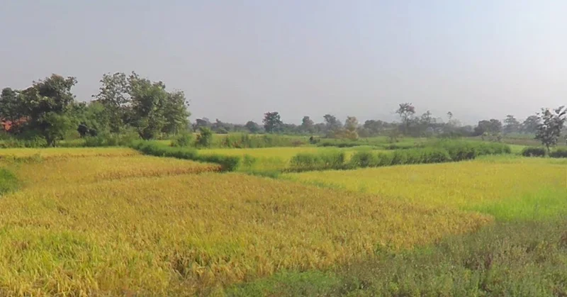 Darbha, Chhattisgarh 494115, India preview 2