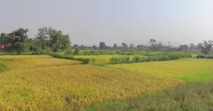 Darbha, Chhattisgarh 494115, India preview 2