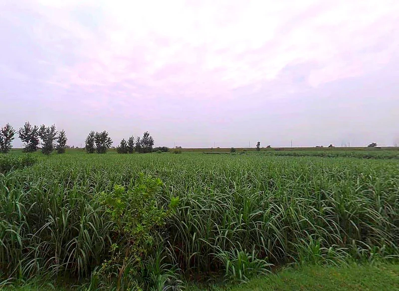 Mirapur, Uttar Pradesh, India preview 3