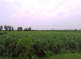 Mirapur, Uttar Pradesh, India preview 3