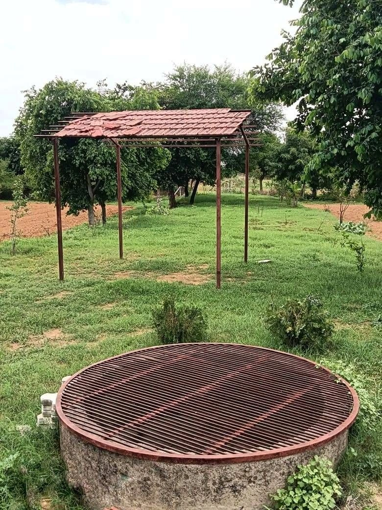 H54J+GM Daulatpura, Rajasthan, India