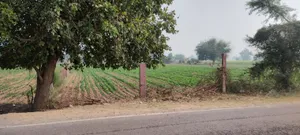 Didawali, Rajasthan 321203, India preview 3