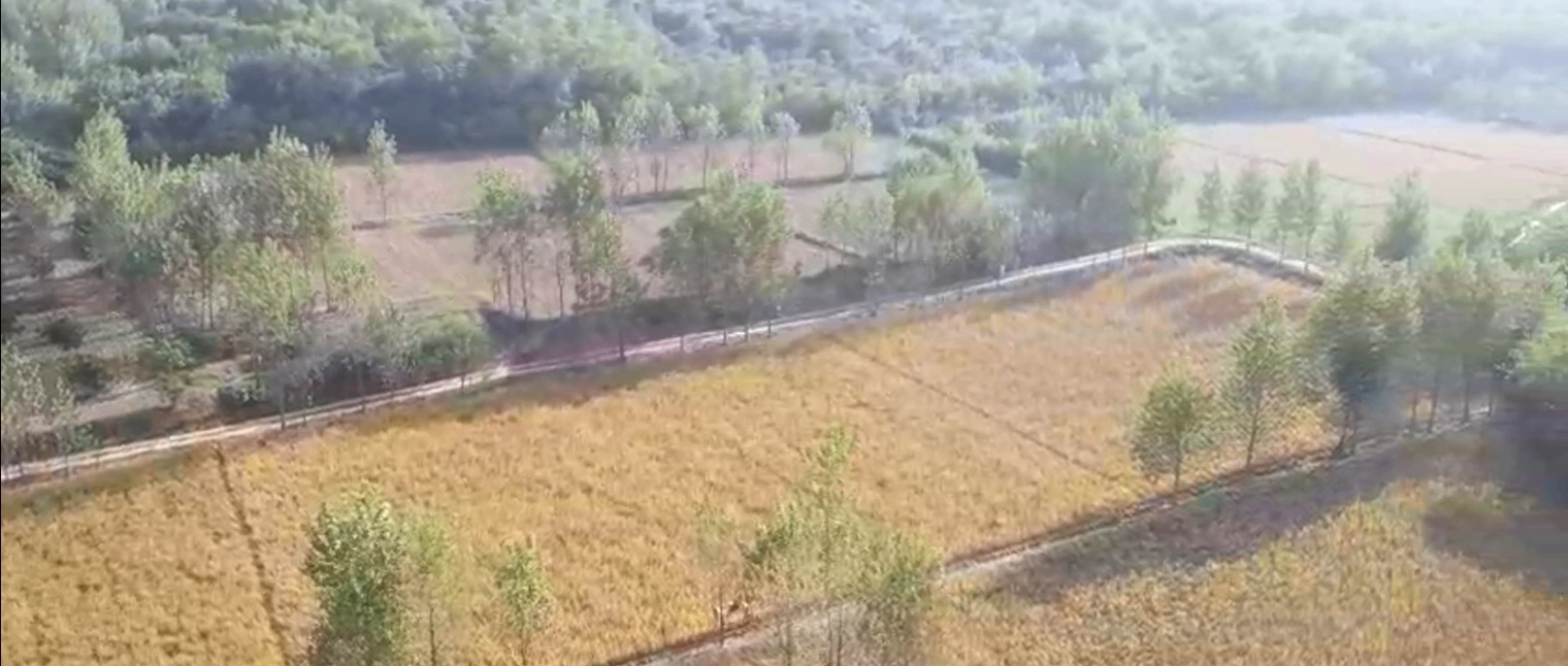 Nurpur Bedi, Punjab 140117, India