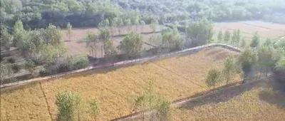 Nurpur Bedi, Punjab 140117, India preview 2