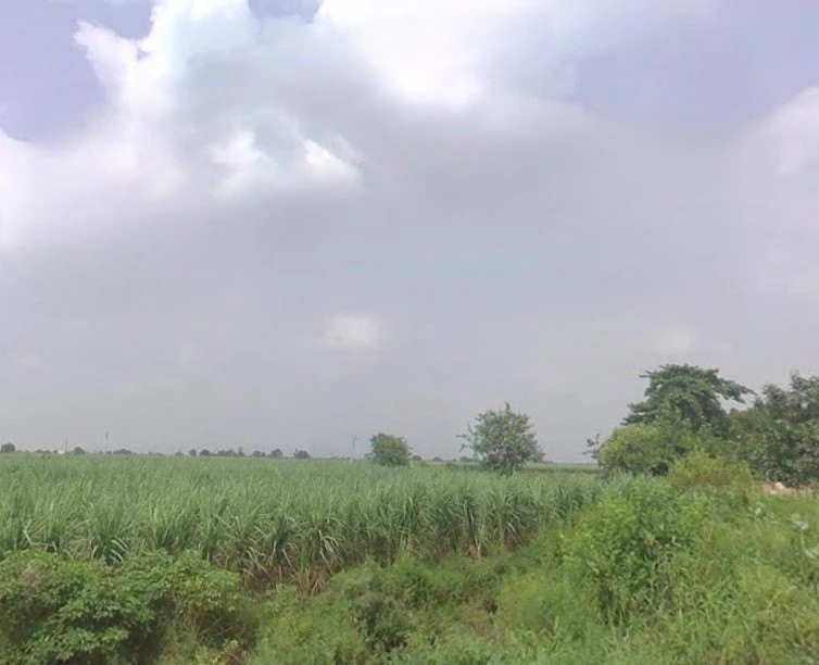 Baraut, Uttar Pradesh 250611, India