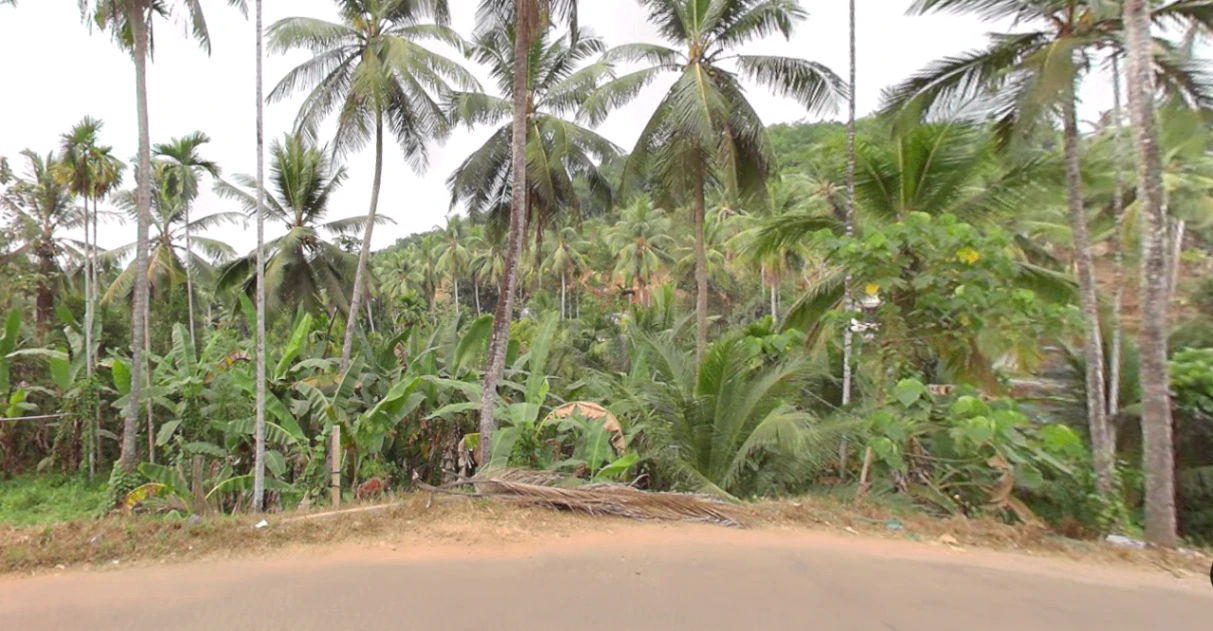 73J5+MVF, Thottumukkam, Kerala 673639, India