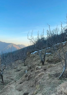 VXX7+3J Jandaur, Kangra, Himachal Pradesh, India