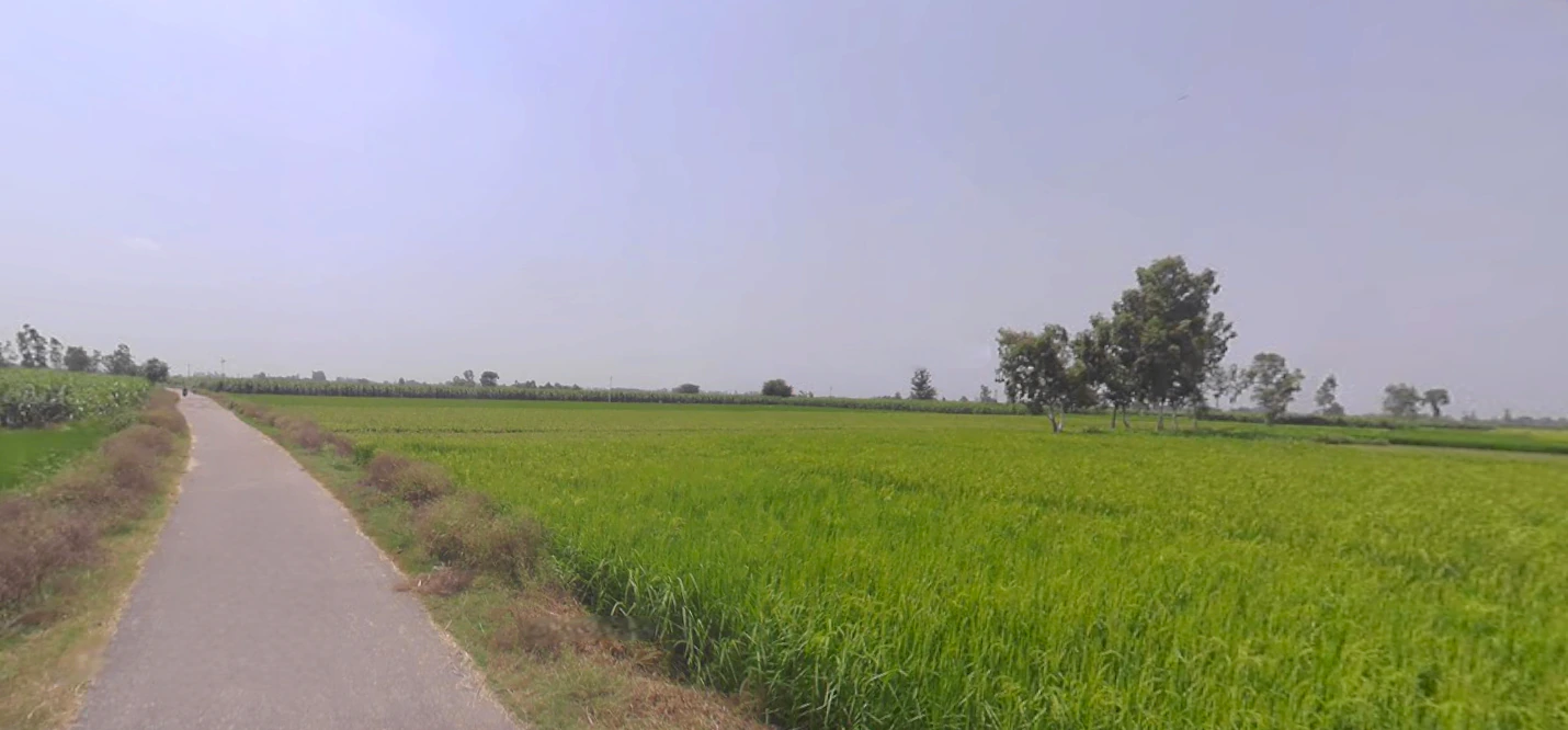 Dulheypur Aheer, Uttar Pradesh 244242, India