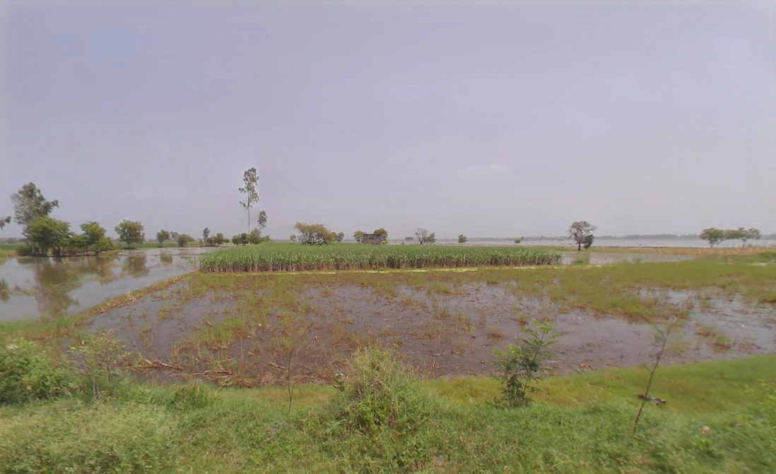 Jassia, Haryana 124303, India