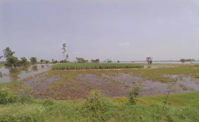 Jassia, Haryana 124303, India preview 2