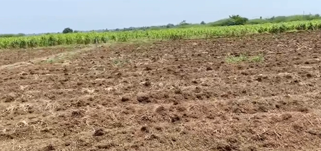 8C54+8VV, Adilabad, Anduru, Neradigonda 2, Telangana 504323, India