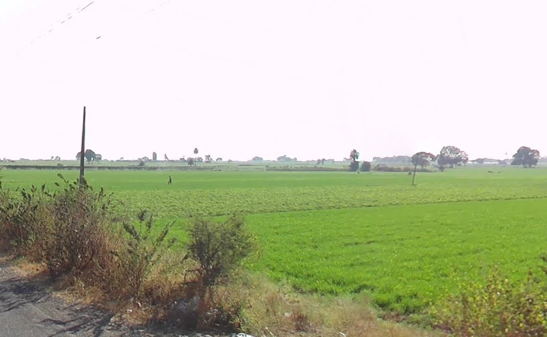 Indore, Madhya Pradesh, India