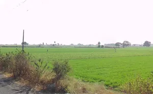 Indore, Madhya Pradesh, India preview 2