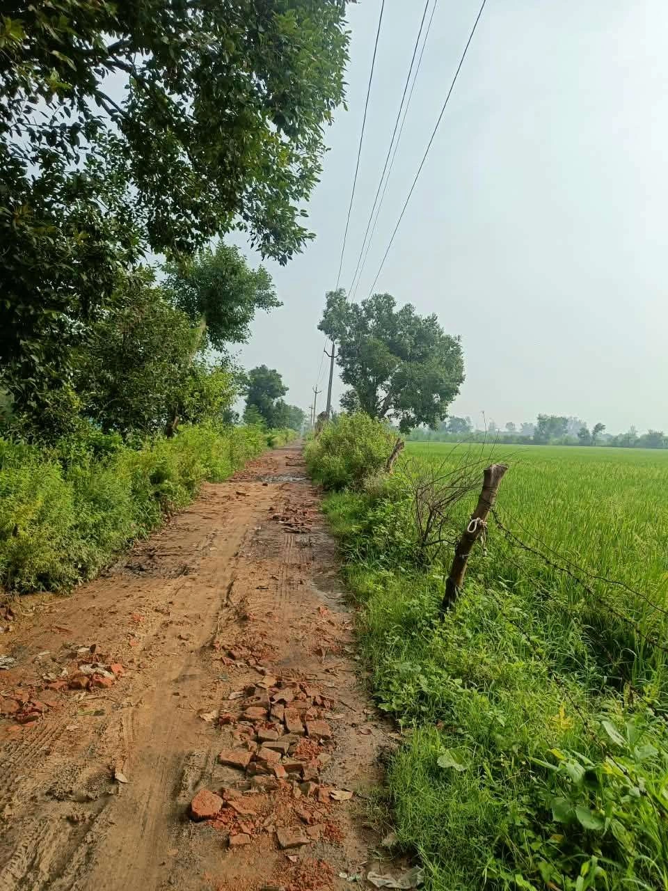 Abhaipura Banger, Mathura, Uttar Pradesh 281203, India