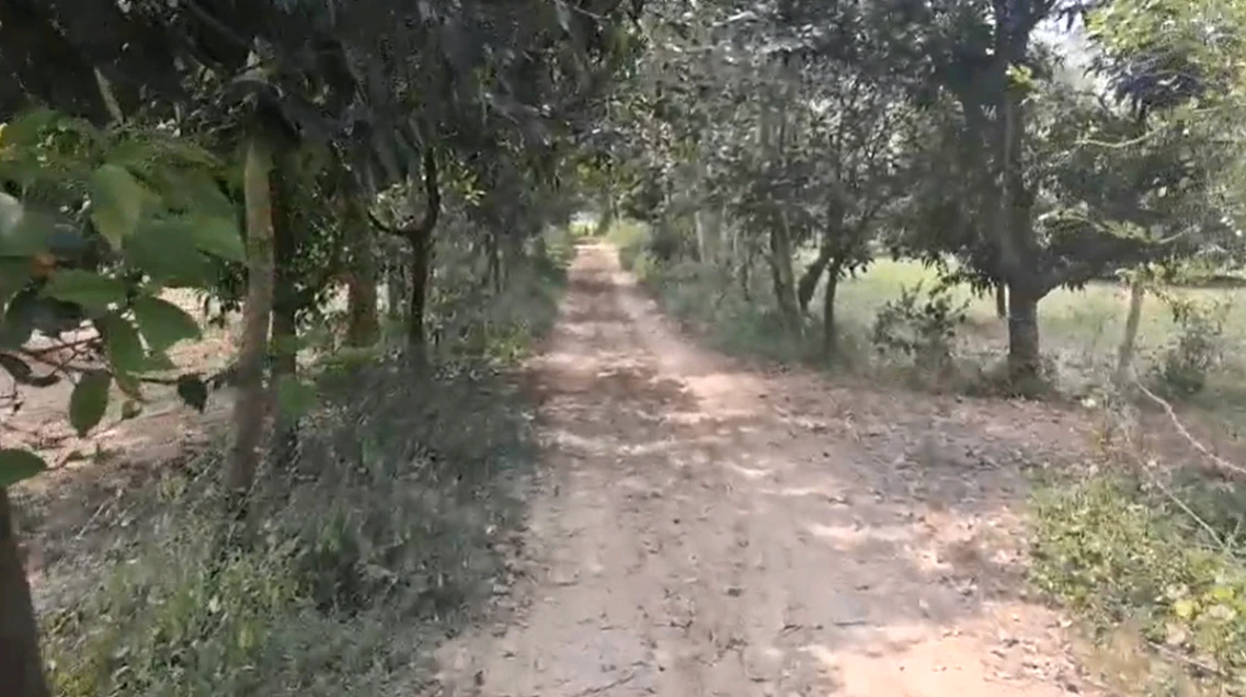 P7GH+R5H, Amroha, Hasanpur, Uttar Pradesh 244241, India