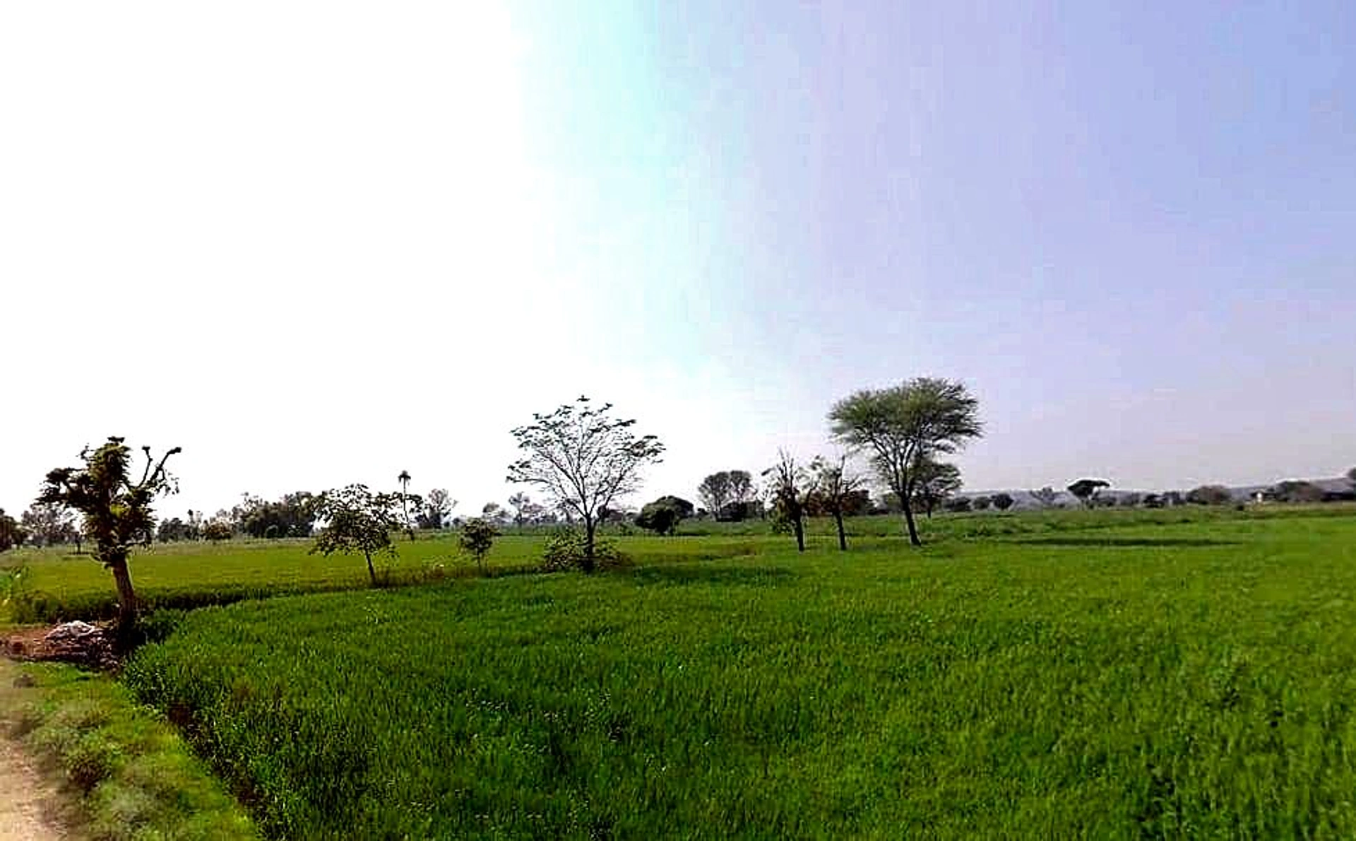 Milkpur, Rajasthan 301026, India