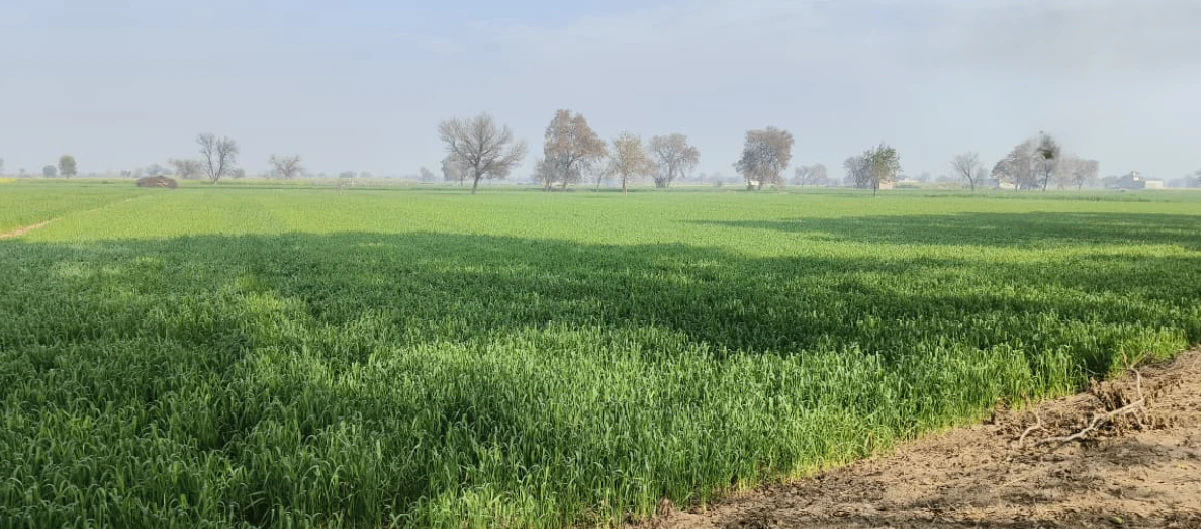 Dahar, Rajasthan 303903, India
